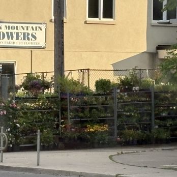 Green Mountain Flowers - Florists Near Me - Toronto, Ontario Green Mountain Flowers - Florists Near Me - Toronto, Ontario