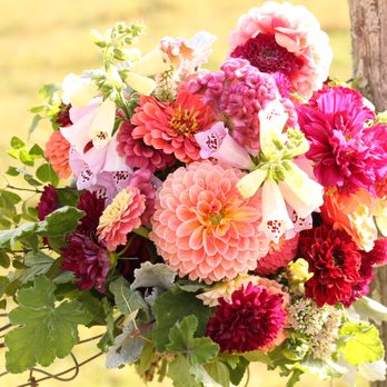 Twilight Acres' Homegrown - Florists Near Me - Stone Ridge, New York Twilight Acres' Homegrown - Florists Near Me - Stone Ridge, New York