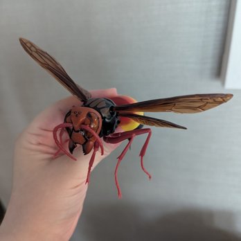 Gotcha Gashapon - Lesser Banded Hornet - Arcades Near Me - Chicago, Illinois