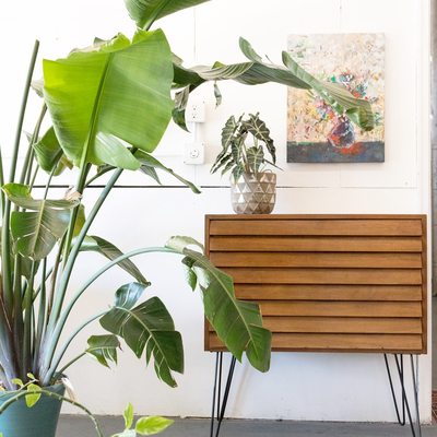 Atomic Furnishing & Design by null