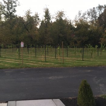 Pellicano Vineyard Hamburg Winery - The vines - Wineries Near Me - Hamburg, New York Pellicano Vineyard Hamburg Winery - The vines - Wineries Near Me - Hamburg, New York
