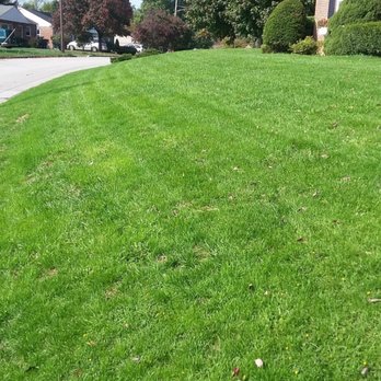 Turfology LLC - After renovation - Lawn Services Near Me - York, Pennsylvania Turfology LLC - After renovation - Lawn Services Near Me - York, Pennsylvania