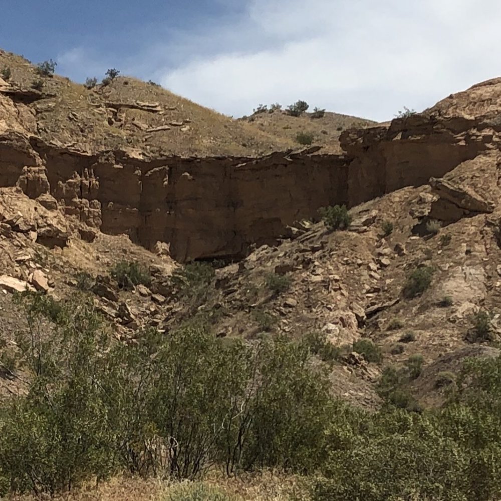 Aravada Springs - Campgrounds Near Me - Bunkerville, Nevada