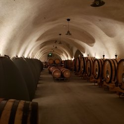Leone Wine Tours