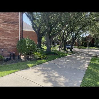 Down South Landscaping - a sidewalk with benches and trees - Landscaping Near Me Down South Landscaping - a sidewalk with benches and trees - Landscaping Near Me