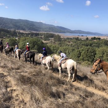 Five Brooks Ranch - Views - Horseback Riding Near Me - Olema, California Five Brooks Ranch - Views - Horseback Riding Near Me - Olema, California