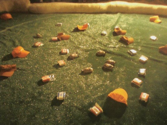 Little Woodrow's Parmer by null