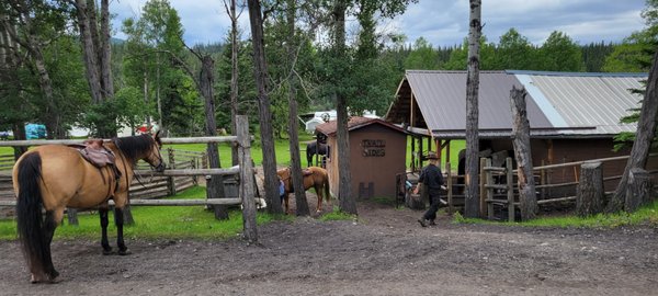 Old Entrance B 'n B Cabins & Trail Rides by null