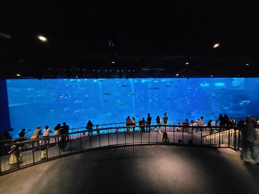 Singapore Oceanarium by null