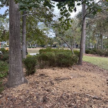 Hernandez Bros Tree Service - Stump Grinding - Tree Services Near Me Hernandez Bros Tree Service - Stump Grinding - Tree Services Near Me