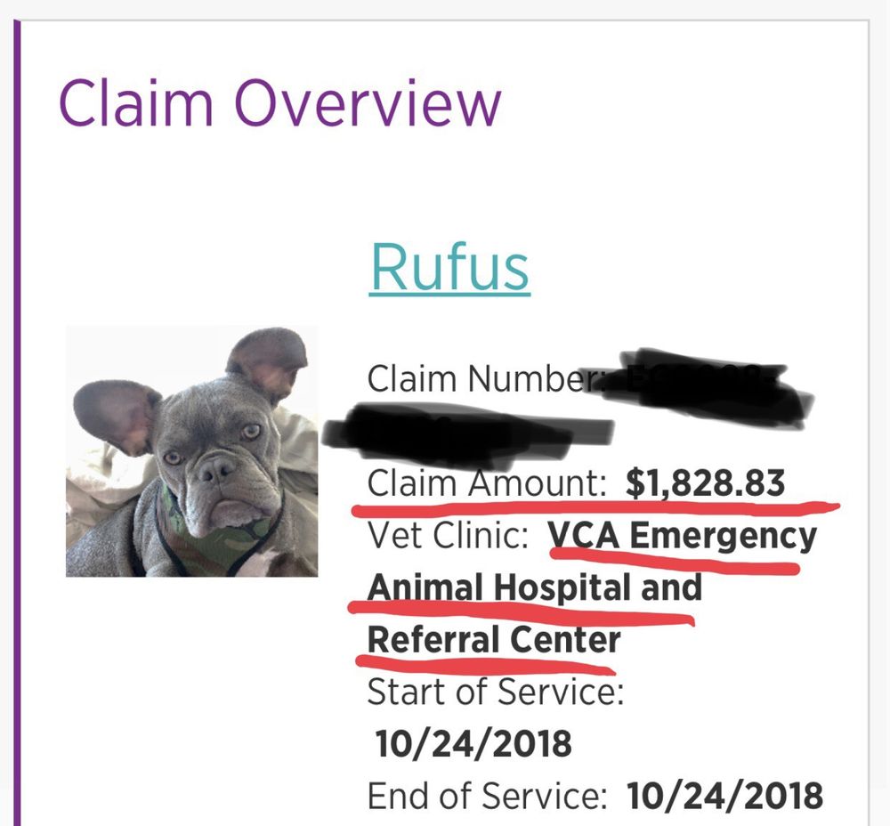 vca emergency animal hospital & referral center