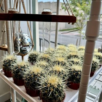 Cast & Grey Botanical - Nurseries & Gardening Near Me - Savannah, Georgia