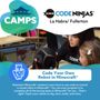 Code Ninjas