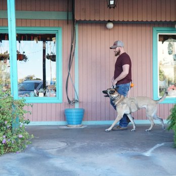Good Bois Dog Training - Pet Training Near Me