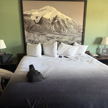 Super 8 by Wyndham Denver Stapleton - 1 bed, non smoking room - Hotels Near Me - Denver, Colorado Super 8 by Wyndham Denver Stapleton - 1 bed, non smoking room - Hotels Near Me - Denver, Colorado