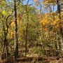 Photo of Busiek State Forest and Wildlife Area