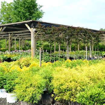 Edwards Nursery - Edwards Nursery - Nurseries & Gardening Near Me - Paducah, Kentucky Edwards Nursery - Edwards Nursery - Nurseries & Gardening Near Me - Paducah, Kentucky