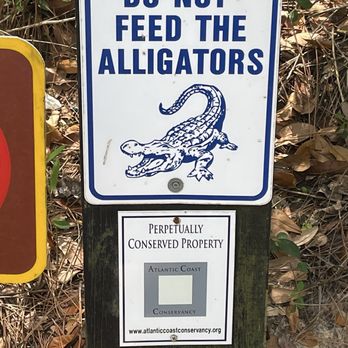Audubon Bird Sanctuary - The alligators are there! Careful at the water's edge! - Parks Near Me - Dauphin Island, Alabama Audubon Bird Sanctuary - The alligators are there! Careful at the water's edge! - Parks Near Me - Dauphin Island, Alabama