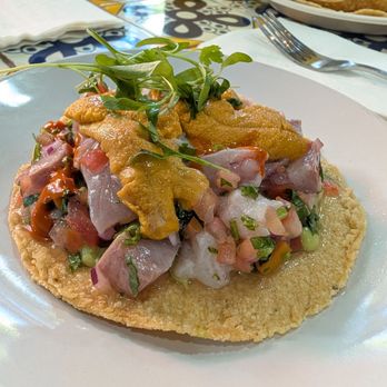 Holbox - Kanpachi & Uni Tostada - Latin American Near Me - Los Angeles, California Holbox - Kanpachi & Uni Tostada - Latin American Near Me - Los Angeles, California