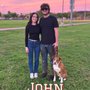 All-American K-9 Dog Training
