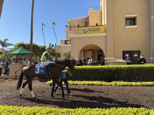 Del Mar Racing by null