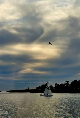 Santa Cruz Wharf by null