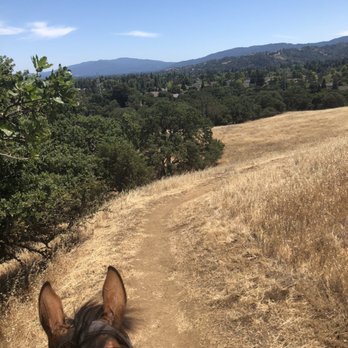 Whispering Creek Equestrian Center - View from trails - Horse Boarding Near Me - Cupertino, California Whispering Creek Equestrian Center - View from trails - Horse Boarding Near Me - Cupertino, California