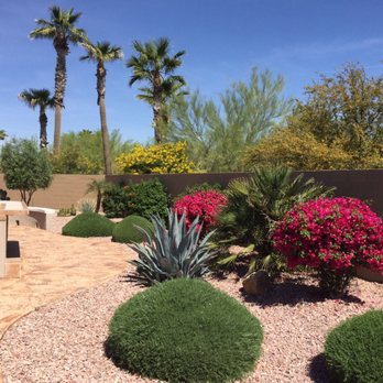 First Option Landscape - Tree Services Near Me - Surprise, Arizona