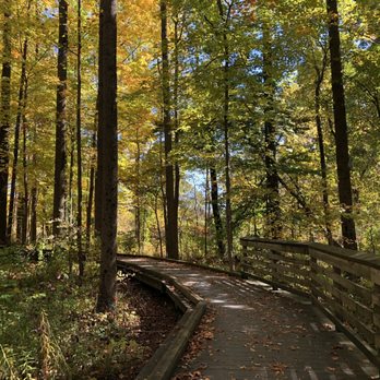 Central Park East Woods - The boardwalks are so lovely! - Hiking Near Me - Carmel, Indiana