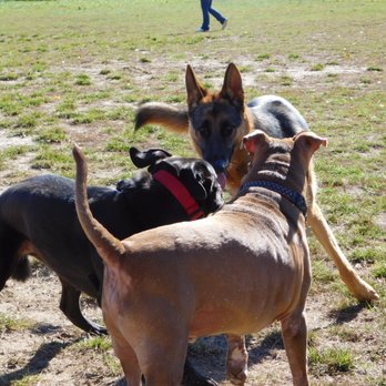 Robinson Duck Farm Dog Park - Dog Parks Near Me - Brookhaven, New York
