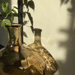 Hearts Pace - Early evening light shining into our reception space.