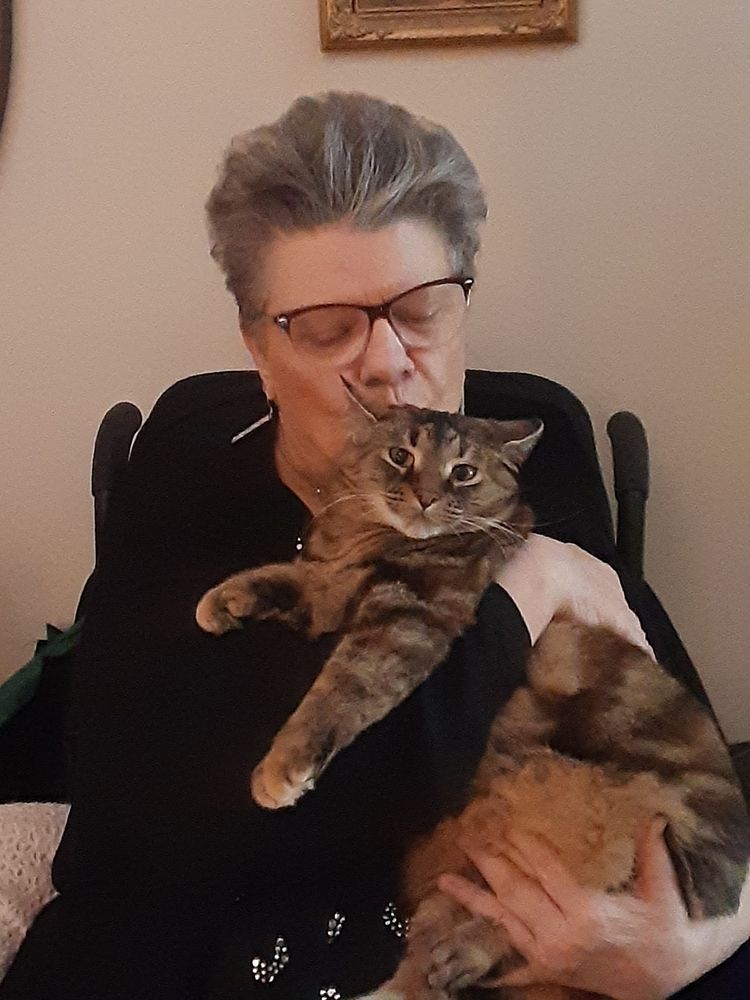 SOUTHWESTERN PET CENTRE Updated October 2024 15 Photos 1641