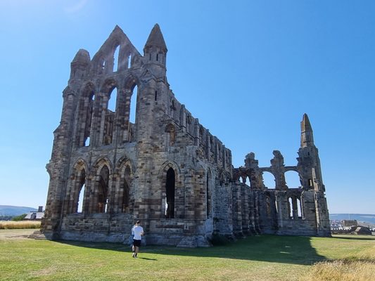Whitby Abbey by null