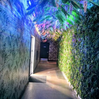 Palma - Sushi Bars Near Me - Phoenix, Arizona