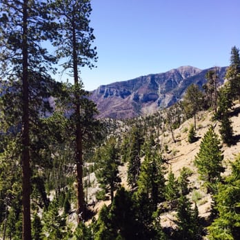 Fletcher Canyon - Hiking Near Me - Las Vegas, Nevada Fletcher Canyon - Hiking Near Me - Las Vegas, Nevada