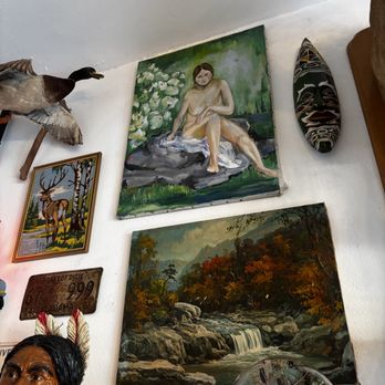 The Winthrop Gallery - Taxidermy Near Me - San Pedro, California The Winthrop Gallery - Taxidermy Near Me - San Pedro, California