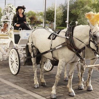Cindy Cinderella Carriages - Wedding Planning Near Me - Riverside, California