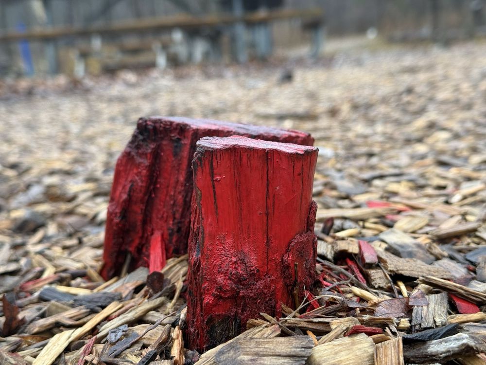 Blendon Woods Metro Park