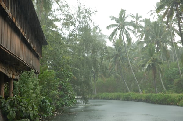 Coco Palms Resort by null