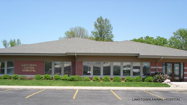 laketown cat hospital
