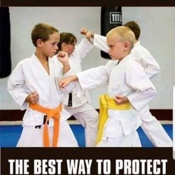 Tree of Life Martial Arts Training Center