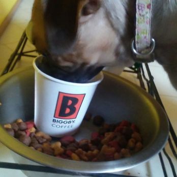 BIGGBY COFFEE - Coffee & Tea Near Me - Defiance, Ohio BIGGBY COFFEE - Coffee & Tea Near Me - Defiance, Ohio