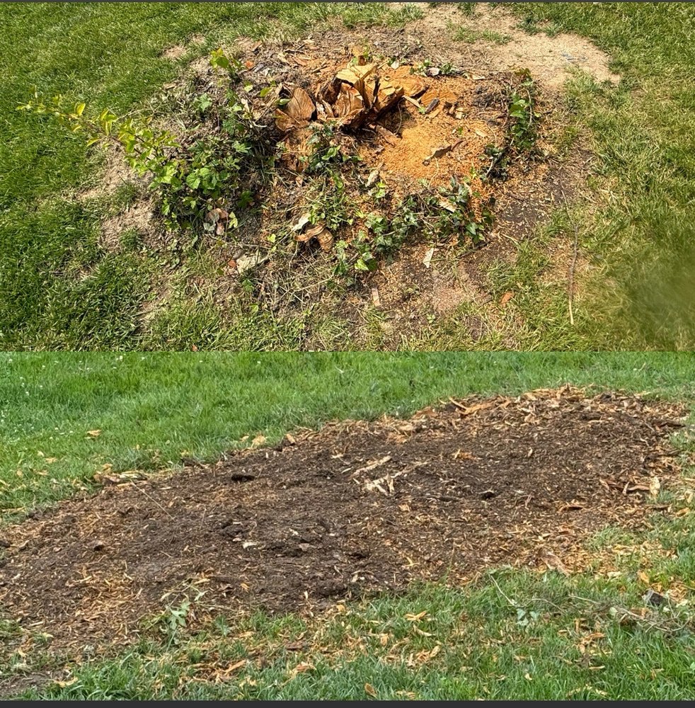 The Tree People - tree service in Pasadena, MD