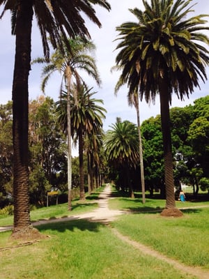 Centennial Park by null