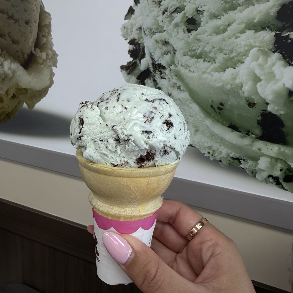 Baskin-Robbins - Mint Chocolate Chip Single Scoop on cake cone - Ice Cream & Frozen Yogurt Near Me - Vallejo, California Baskin-Robbins - Mint Chocolate Chip Single Scoop on cake cone - Ice Cream & Frozen Yogurt Near Me - Vallejo, California