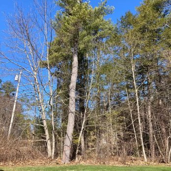 Top Notch Property Services - Tree Services Near Me Top Notch Property Services - Tree Services Near Me