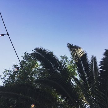 Courtyard Brewery - They have palm trees - Breweries Near Me - New Orleans, Louisiana