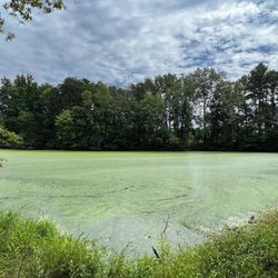 Crawford County Forest Preserve