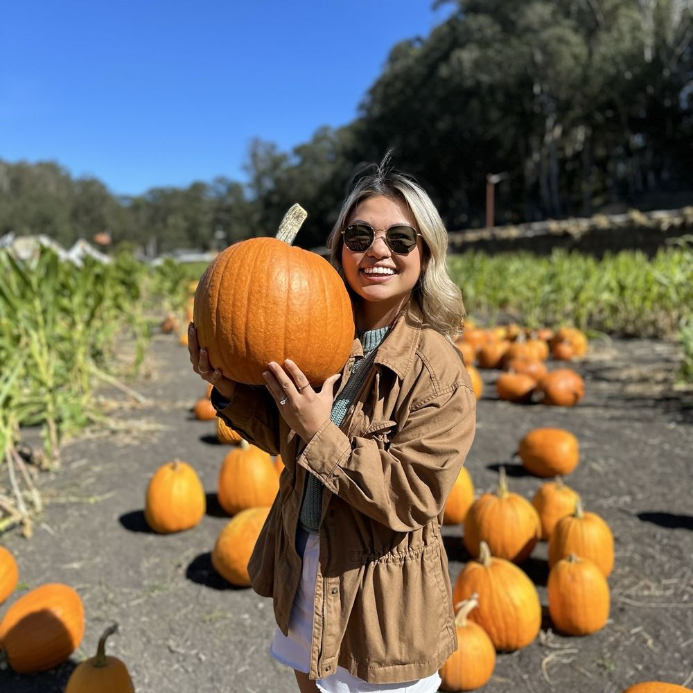Arata's Pumpkin Farm - Christmas Trees Near Me - Half Moon Bay, California Arata's Pumpkin Farm - Christmas Trees Near Me - Half Moon Bay, California