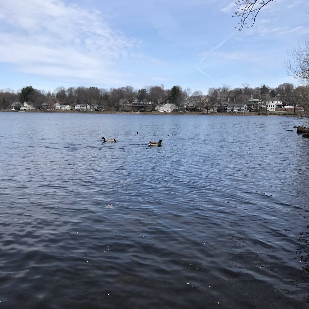 Horn Pond - Lakes Near Me - Woburn, Massachusetts Horn Pond - Lakes Near Me - Woburn, Massachusetts